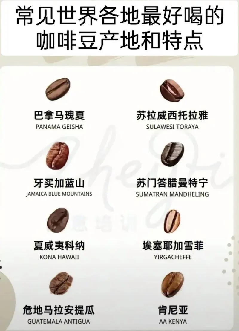 哪个国家的咖啡最好喝-哪个国家咖啡最香