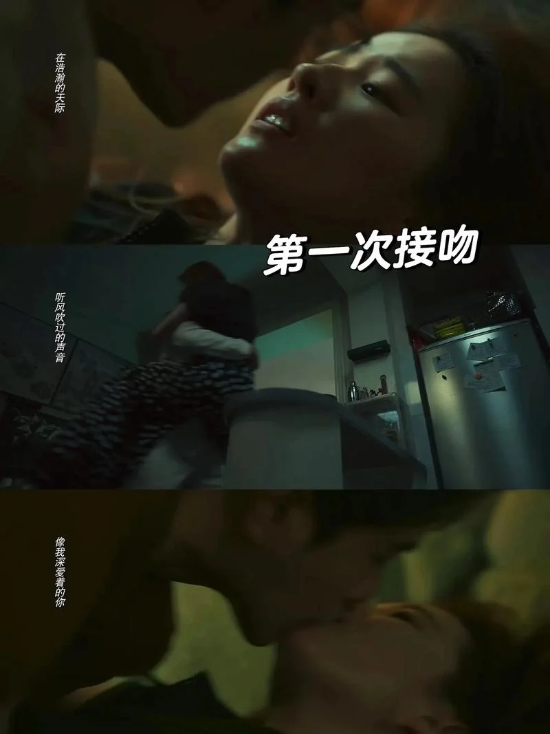 张嘉译吻戏剧情-张嘉译吻戏剧情