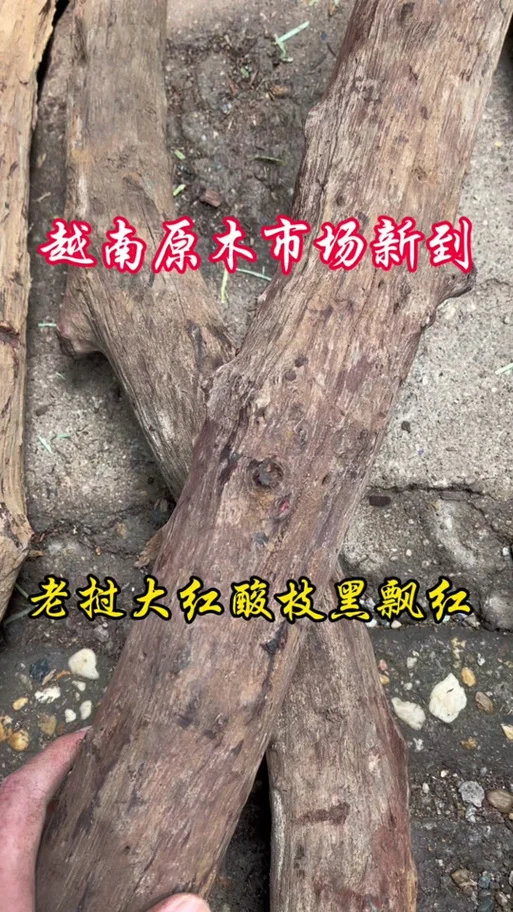 大红酸枝原木多少钱一吨_2