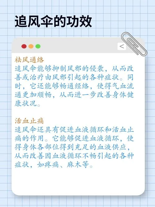 邪风是什么意思_1