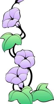牵牛花简笔画有颜色-牵牛花简笔画着色