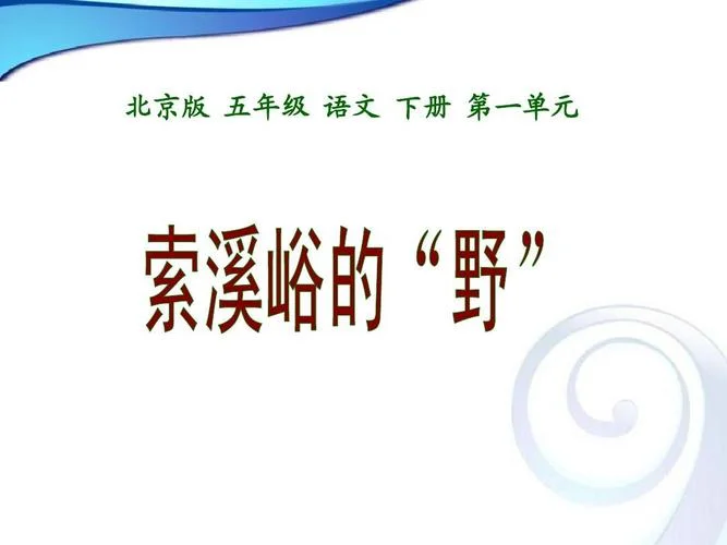 索溪峪的野作者是谁_1