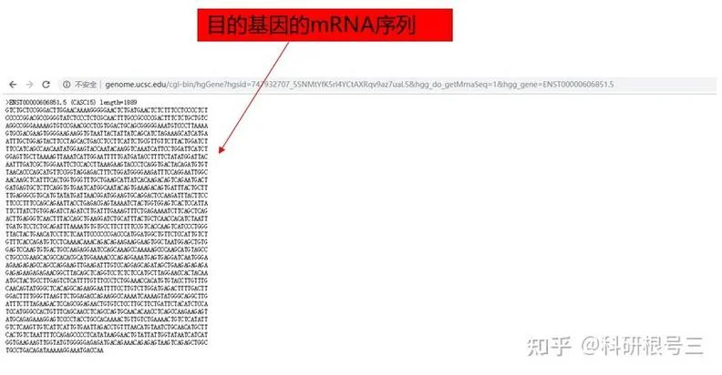 如何查基因序列_1