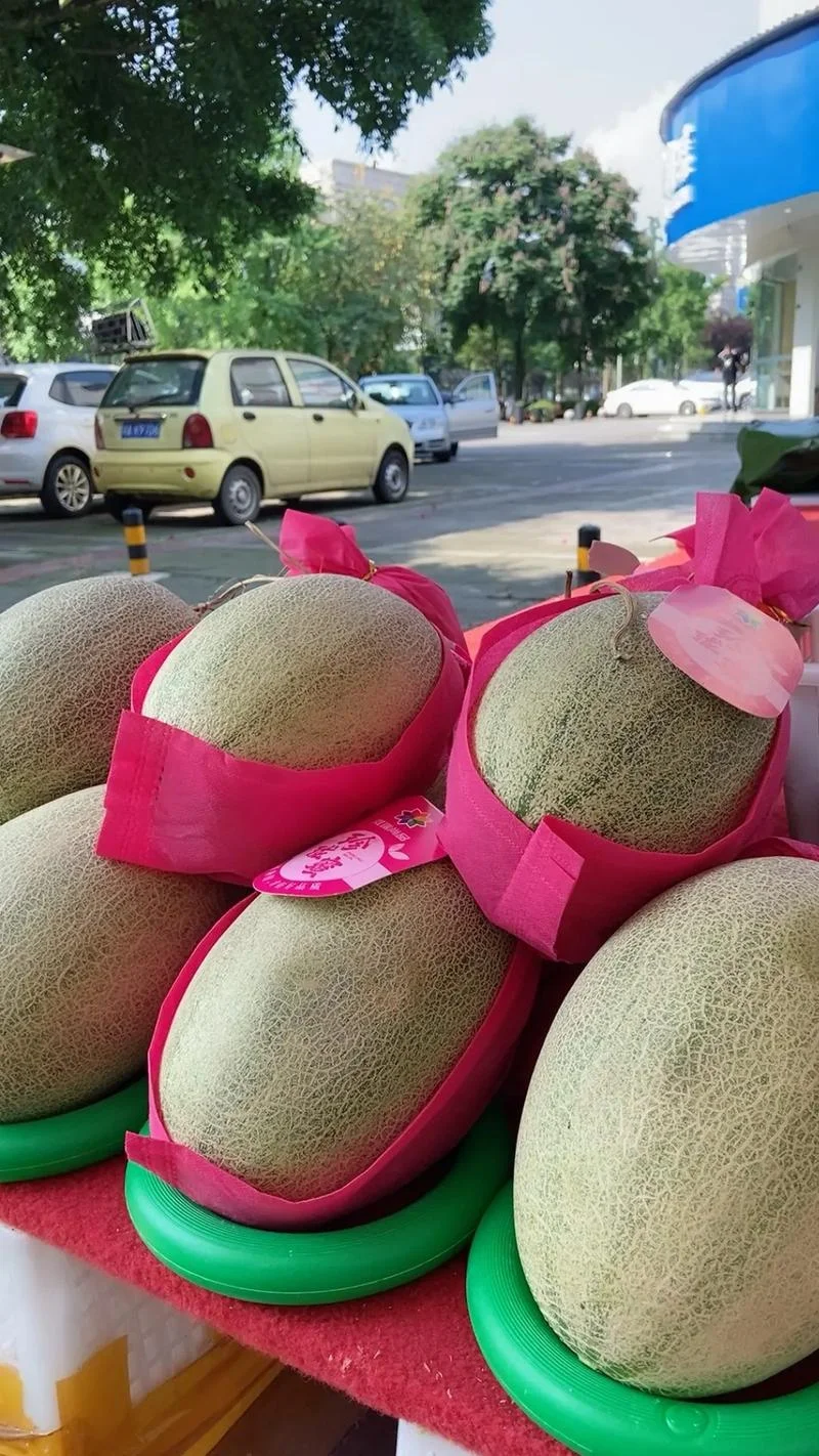 梦见买西瓜和哈密瓜_1