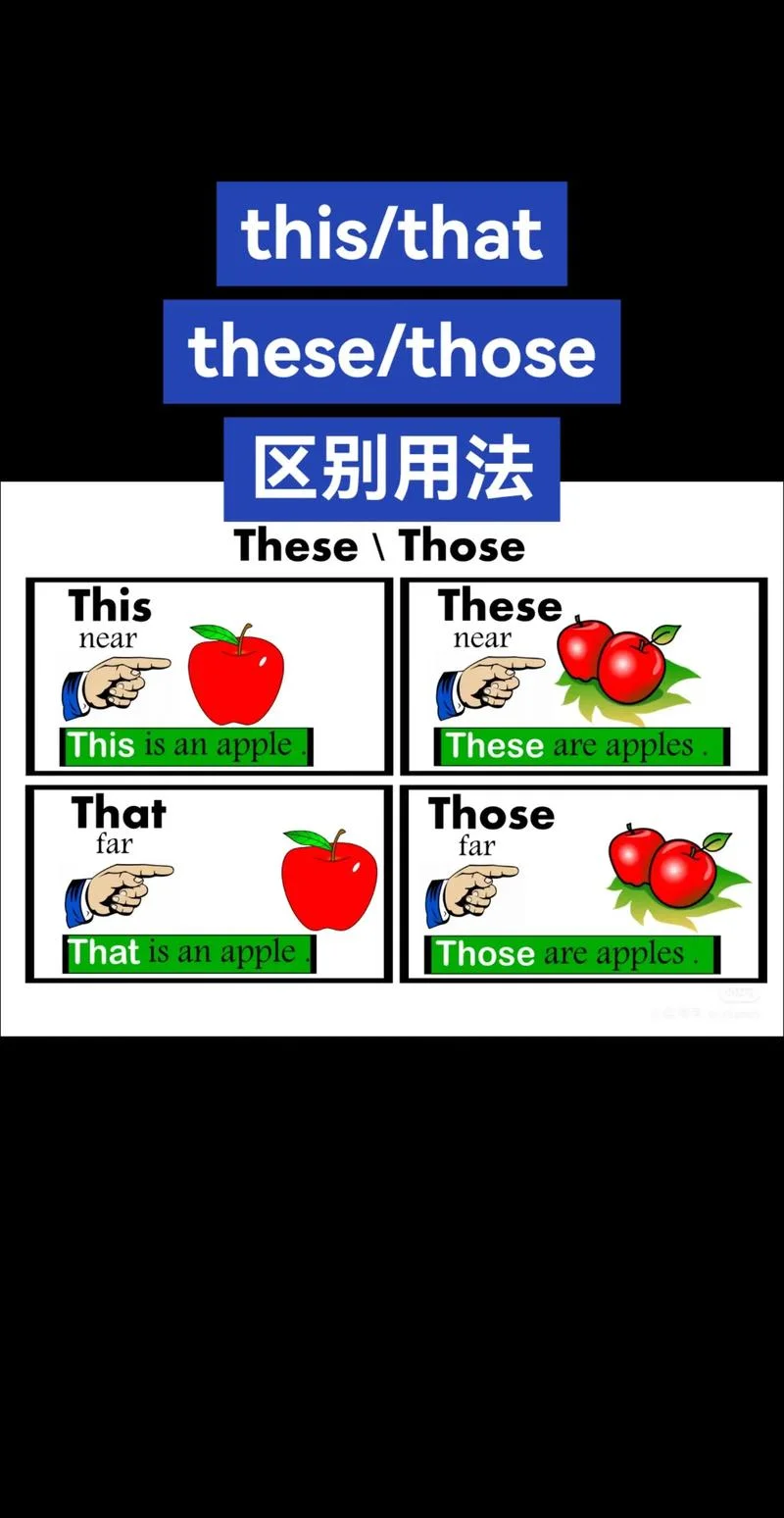 different是什么意思-不同含义