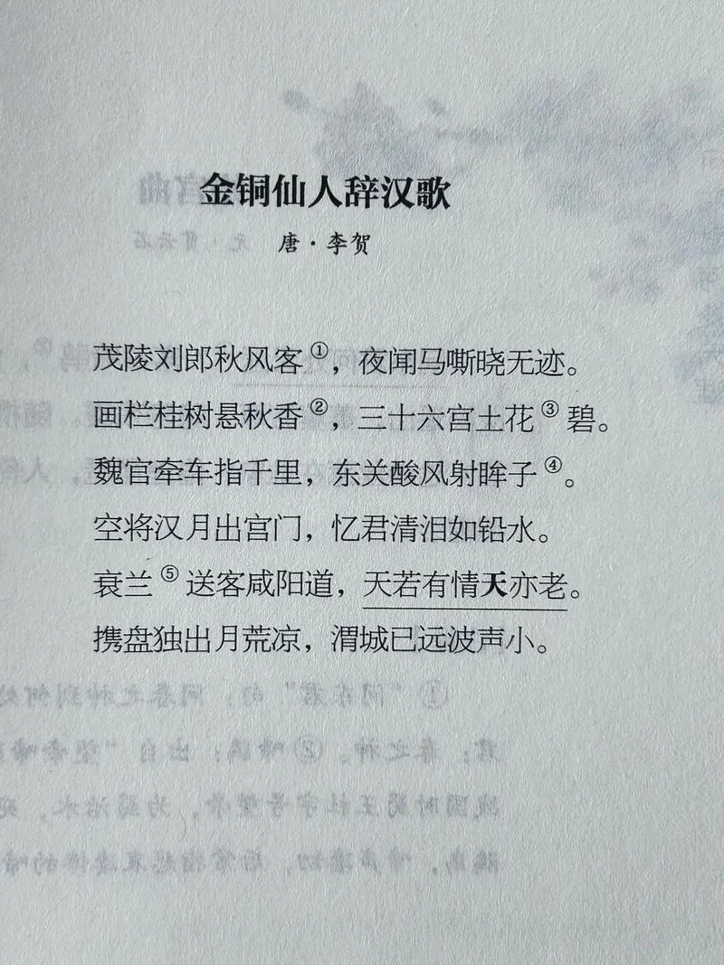 天若有情天亦老下一句全诗_1
