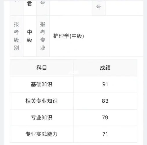 护师成绩查询入口官网_2
