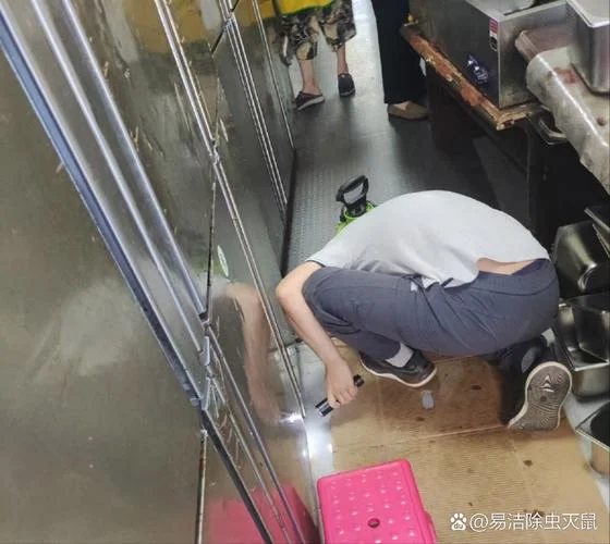 叫一次灭鼠公司多少钱_1