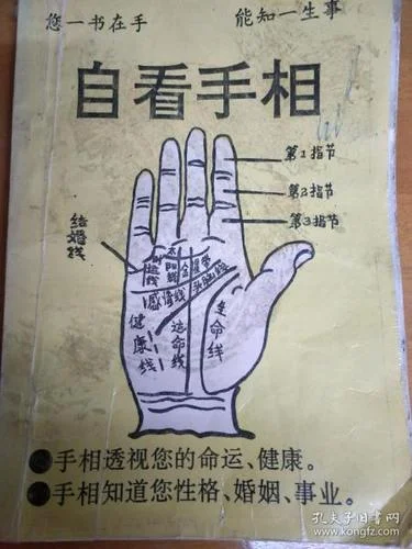 梦见自己会看手相里了_1