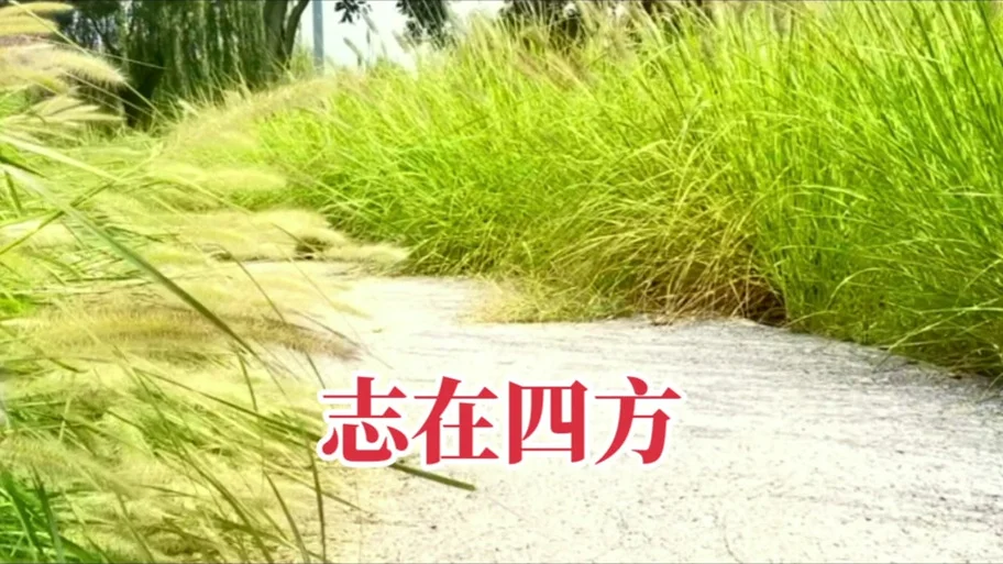 志在四方下一句什么_2