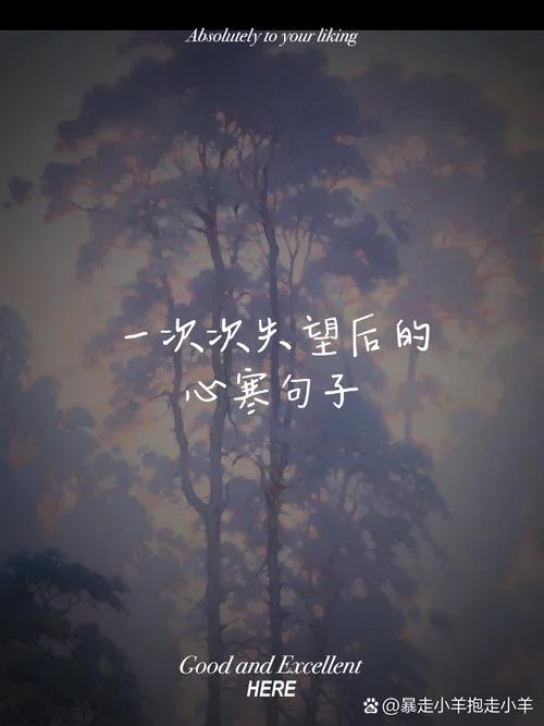 失望心凉了的说说_2