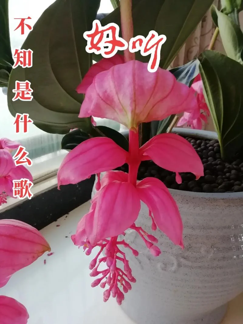 相爱很难歌词是谁写的-《相爱很难》词作者是谁