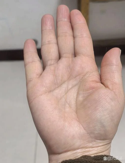 不缺钱的女人手相_1