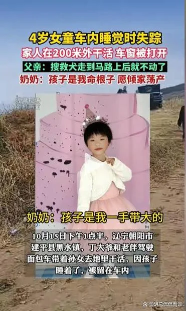 梦见丢了别人家孩子到处寻找_2