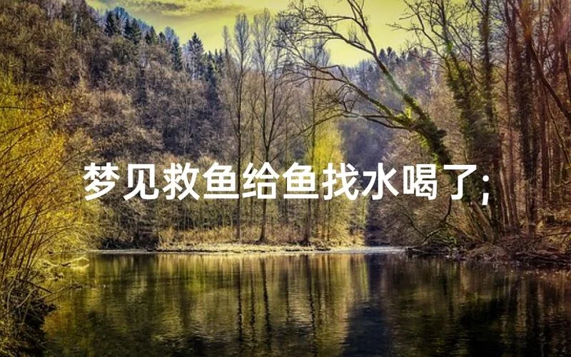 梦见我把鱼放进水里_1