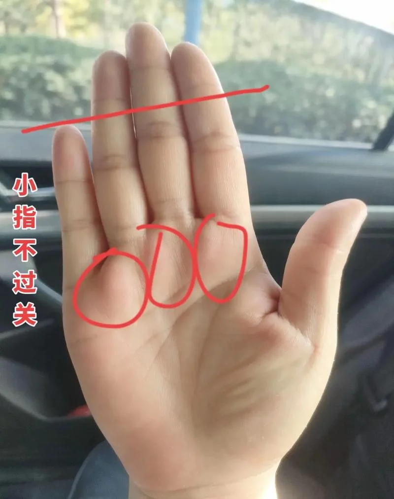 手指越往上越细手相_1