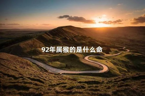 92年属猴的是什么命五行_1