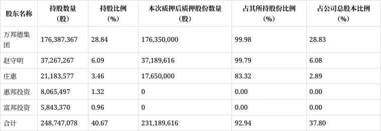 股票质押比例在哪里查_2
