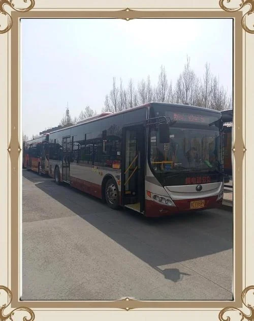 梦见开公交车拉不上去_2