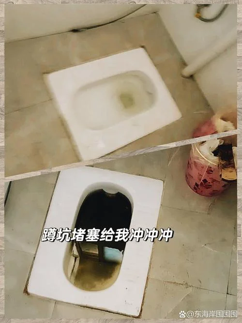 梦见马桶堵了_2