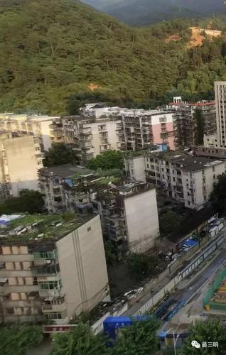 三明下洋一建沁园春最新消息_1