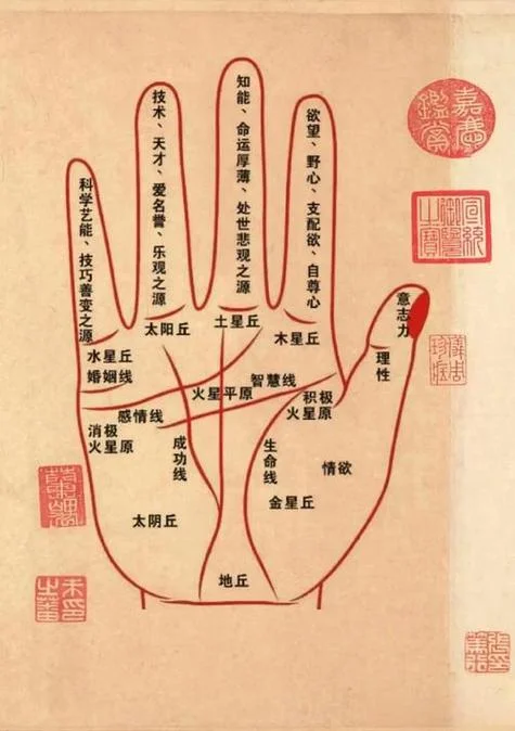 怎么手相看财运_1
