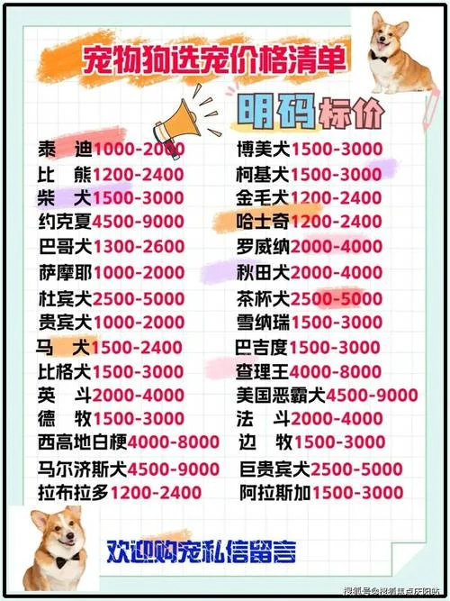 金毛犬多少钱一只_2