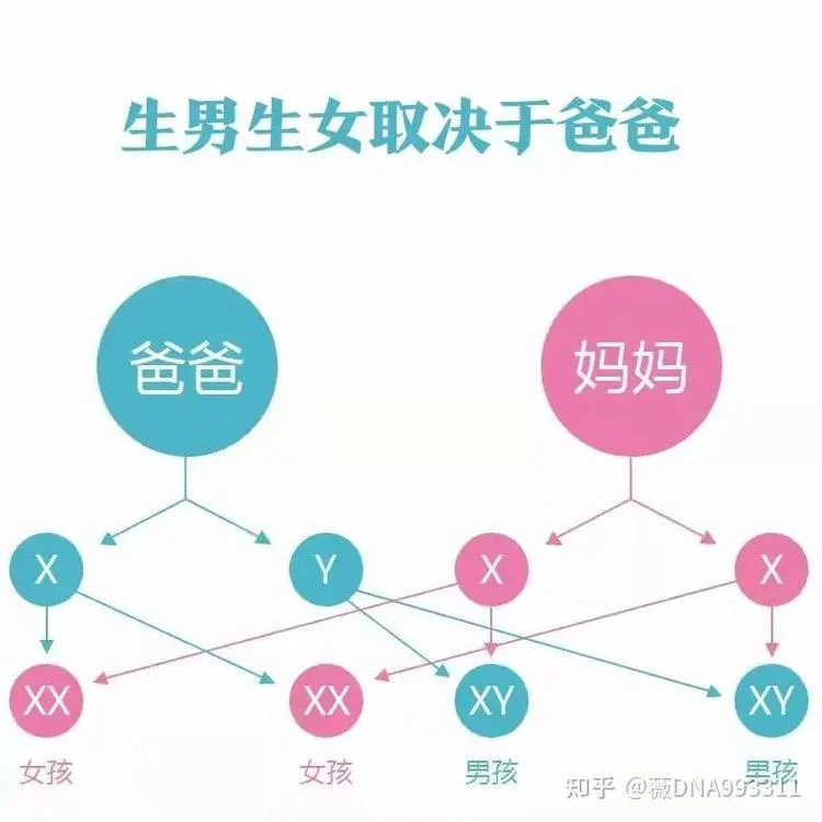什么是遗传学诊断-何为遗传学诊断