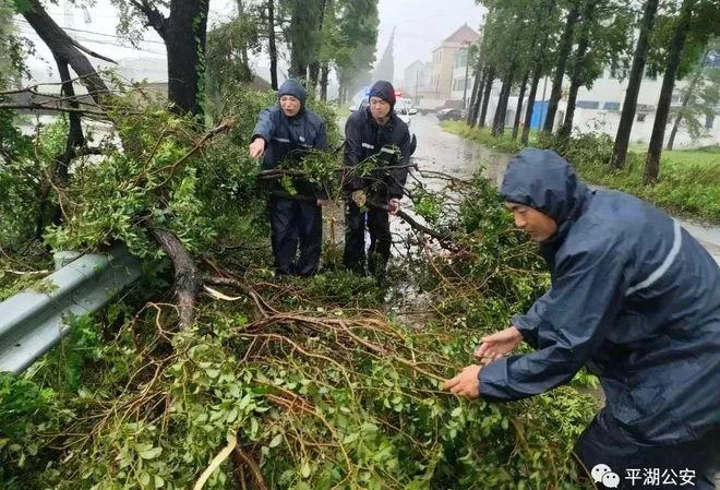 温岭至平湖多少公里_2