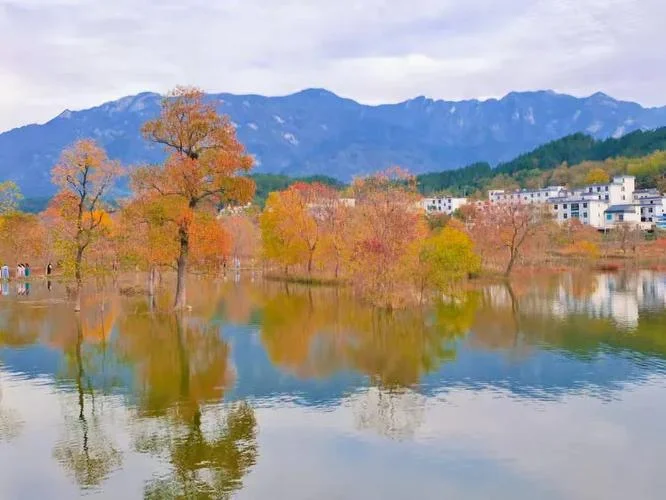 九资河风景区几月_1