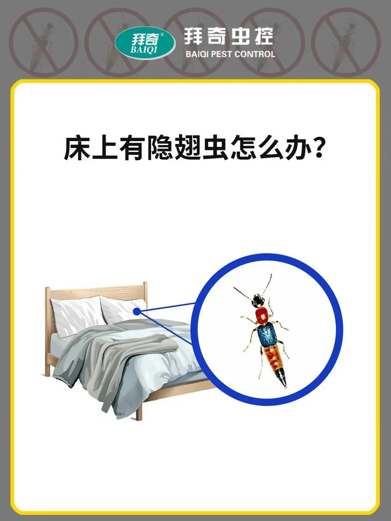 做梦梦到虫子爬出来_1
