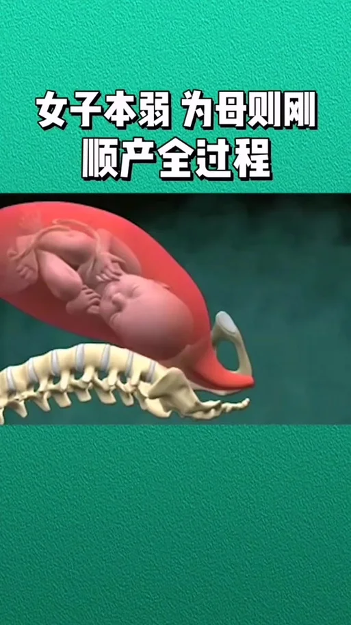 梦见分娩生孩子_1