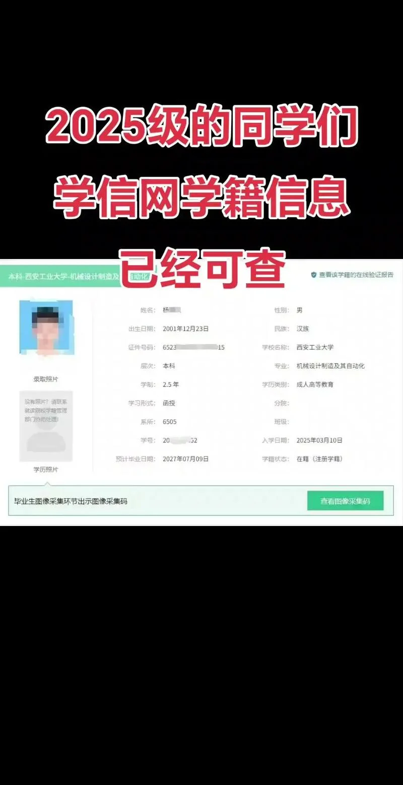 人才网证书查询_1