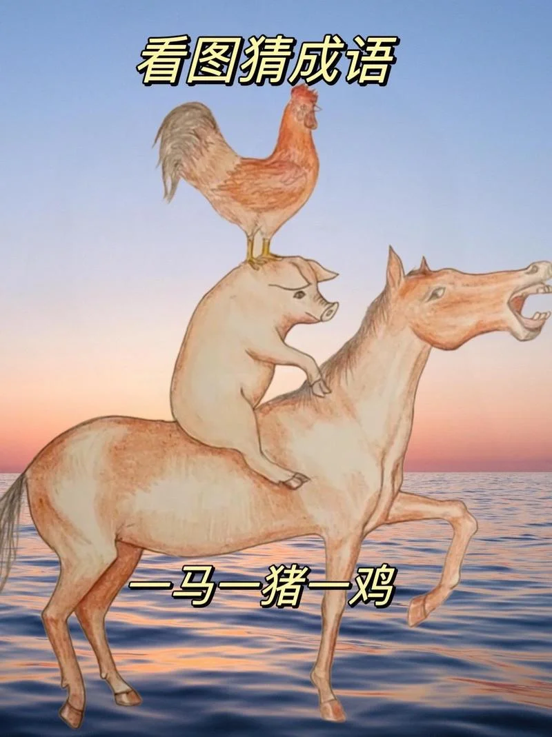 梦见一群鸡和猪_2