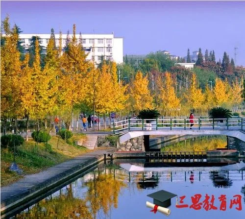 三峡大学在哪里查学分_2