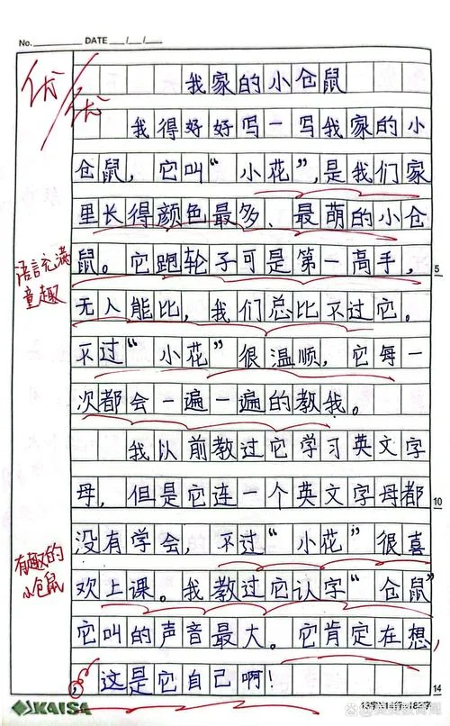 作文写一种小动物50字-50 字写小动物作文