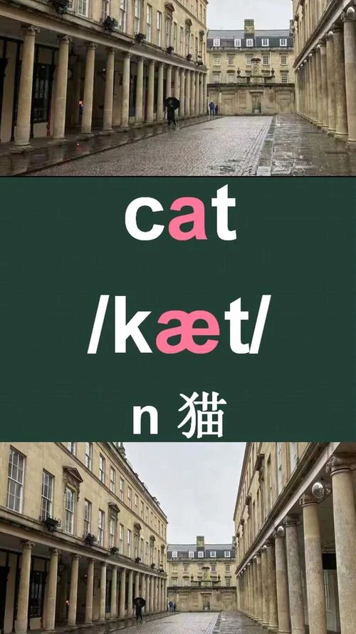 cat是哪个国家的_1