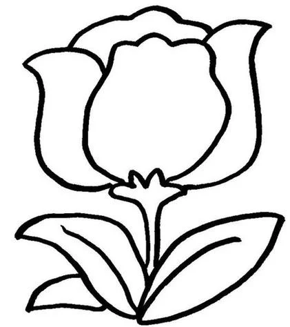 花图片简笔画手绘_1