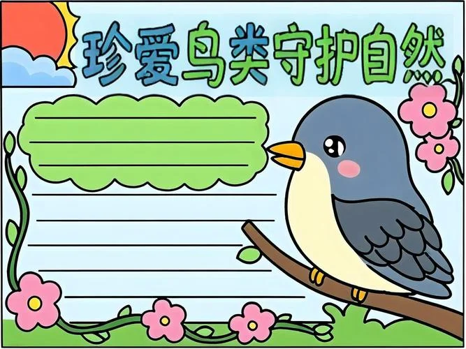 鸟手抄报_2