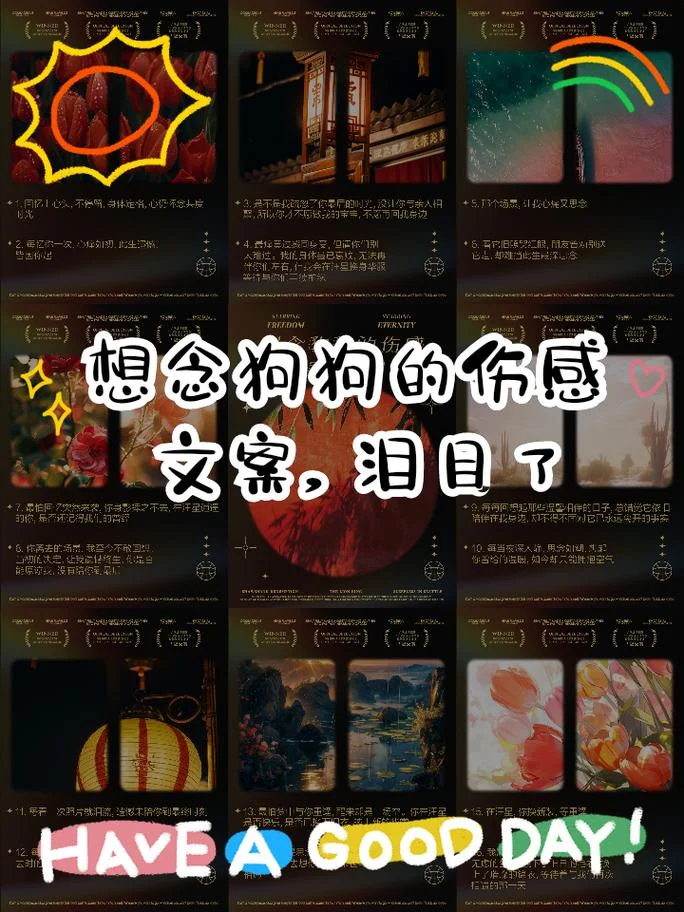 狗死了伤心的说说_1
