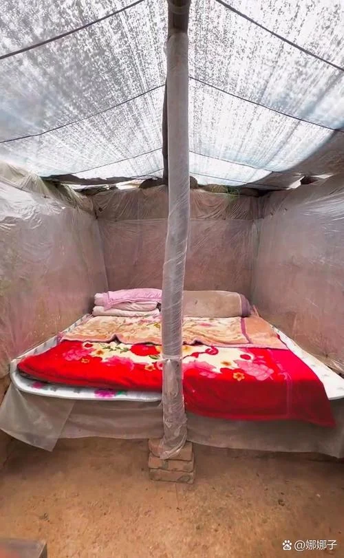 梦见自己住回以前的家_1