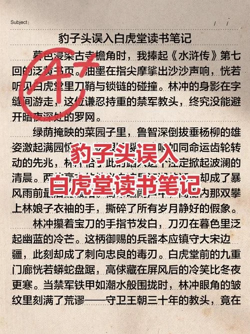 关于林冲的故事读后感-林冲故事读后感