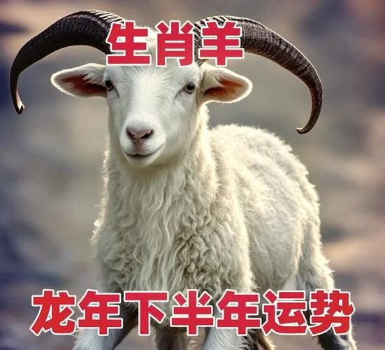 末羊2017年运势_2