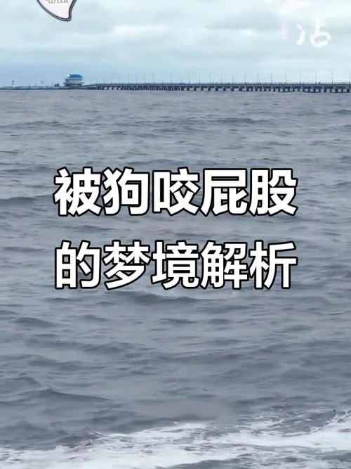 做梦梦到被够狗咬了怎么办-狗咬梦醒后恐惧