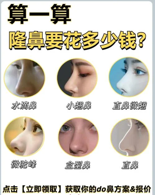 鼻子整下多少钱_1
