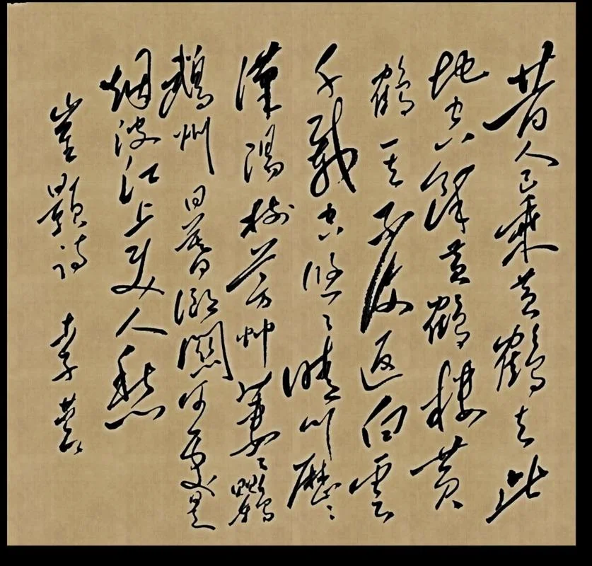 杳如黄鹤出自哪一句诗-黄鹤一去不复返