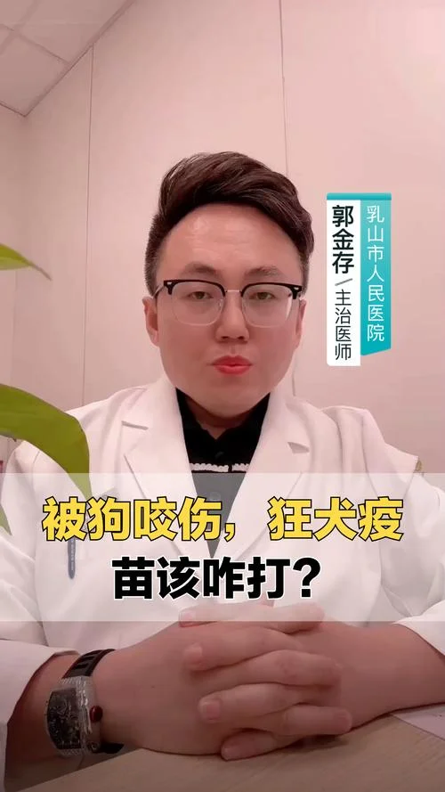 梦见被够狗咬打狂犬疫苗_2