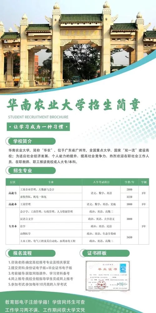 成人高考报考信息-成人高考报考信息查询