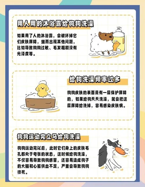 梦到给狗洗澡是为什么_1