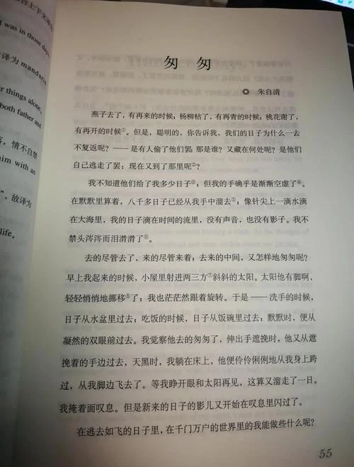 朱自清的匆匆读后感-朱自清匆匆读后感